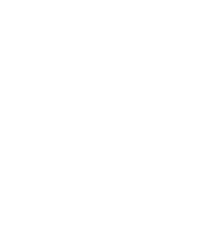 Boga Group Logo